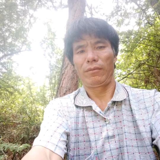 张才贤