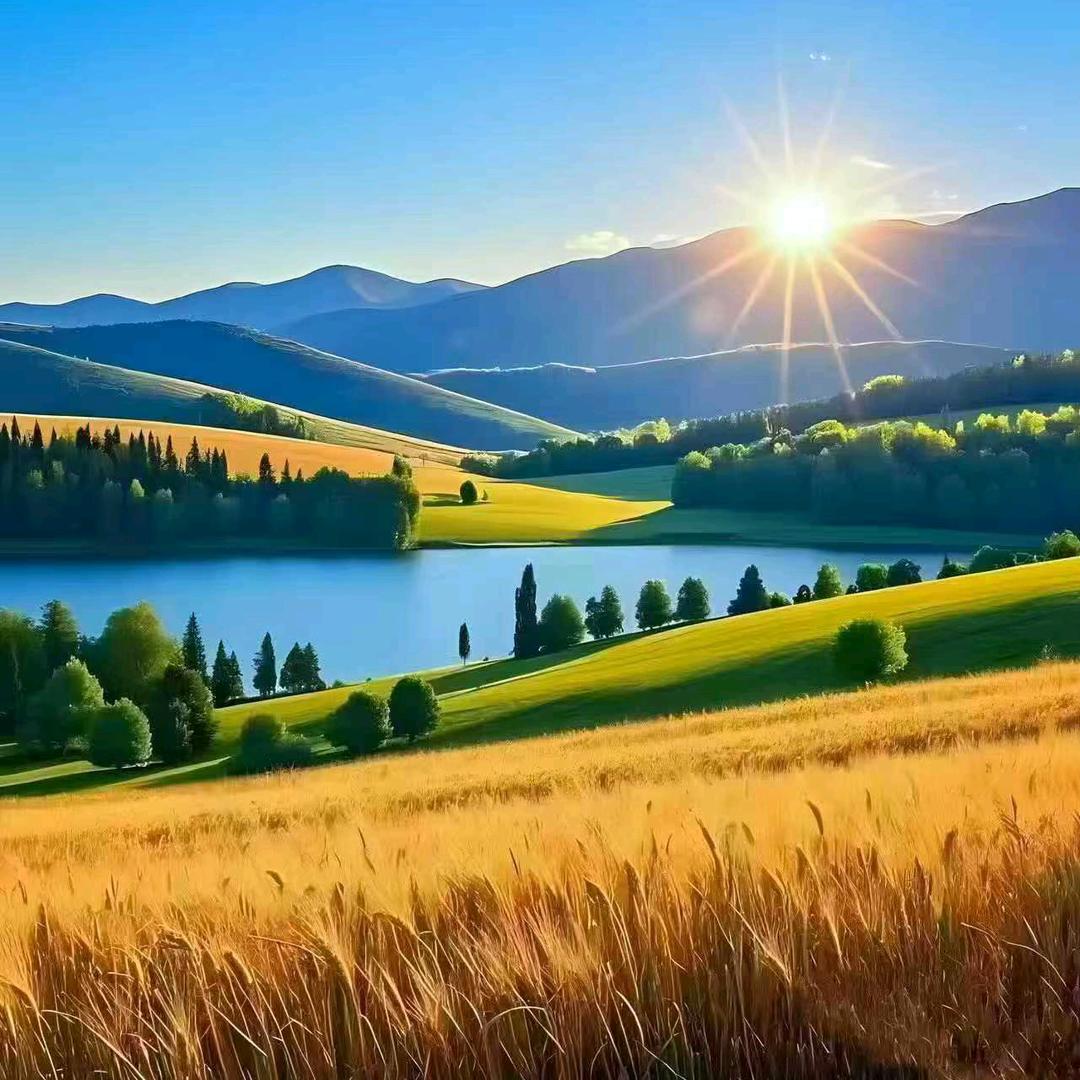 磐金药业—马家运