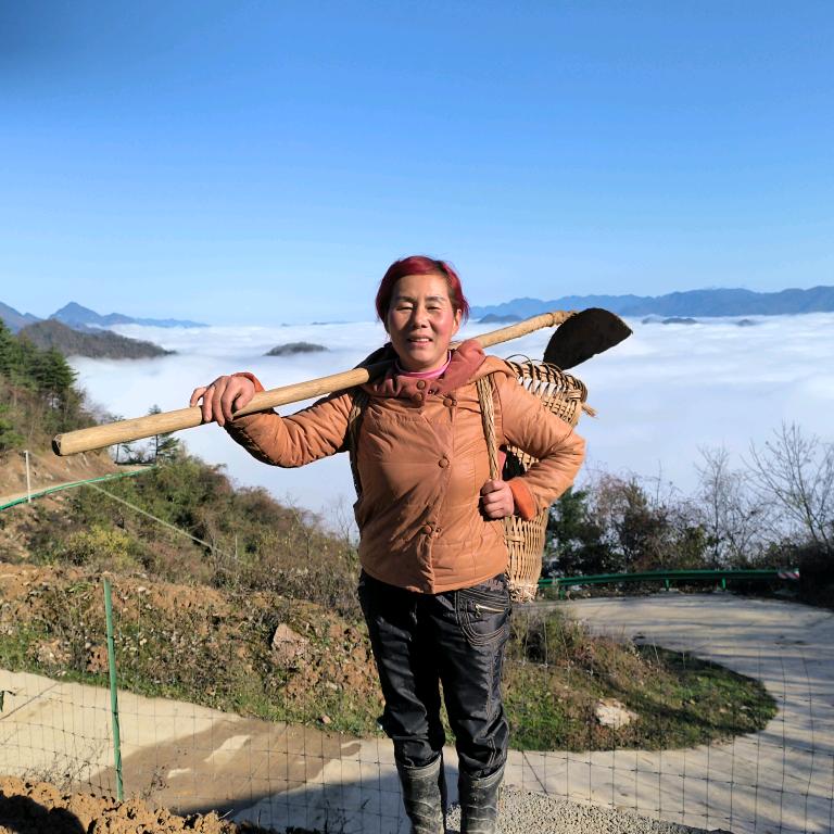 农村灵儿