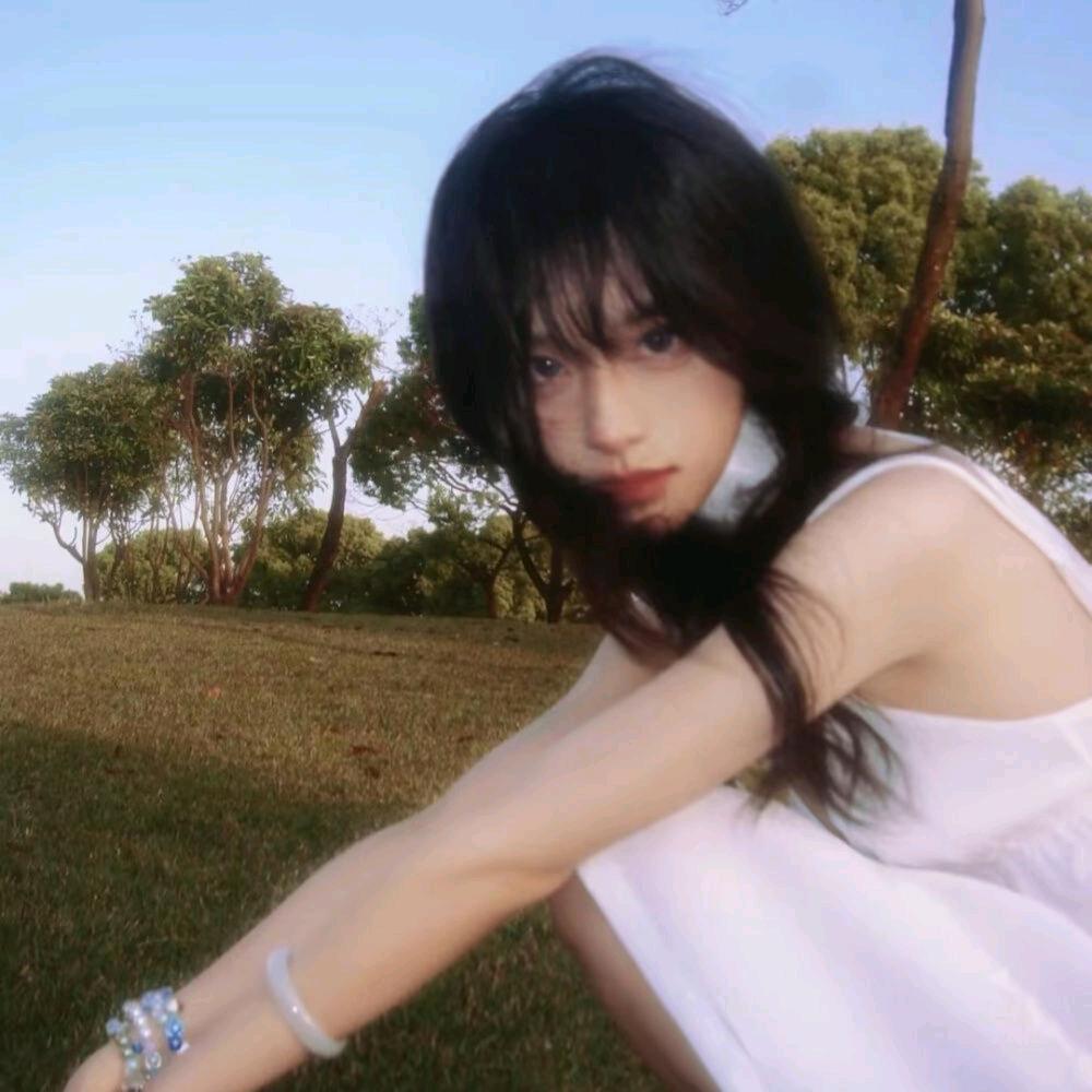 海滩上的长颈鹿