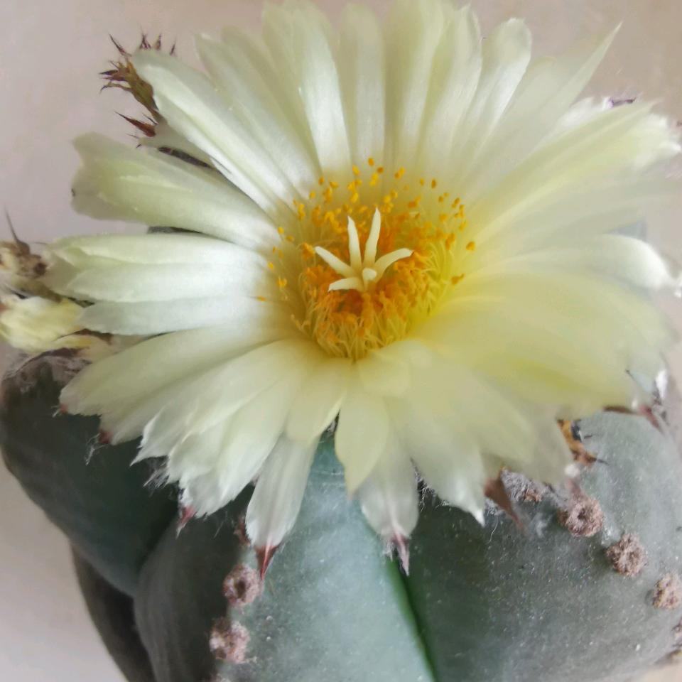 🌈鼠🐿鱼🐠你🌈