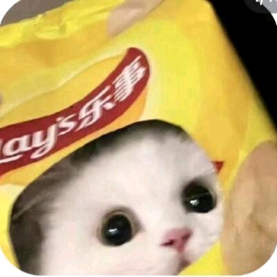 (*^ω^*) 喵～