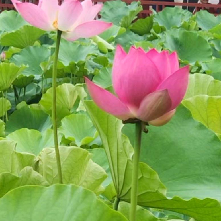 相遇是缘👌🏻