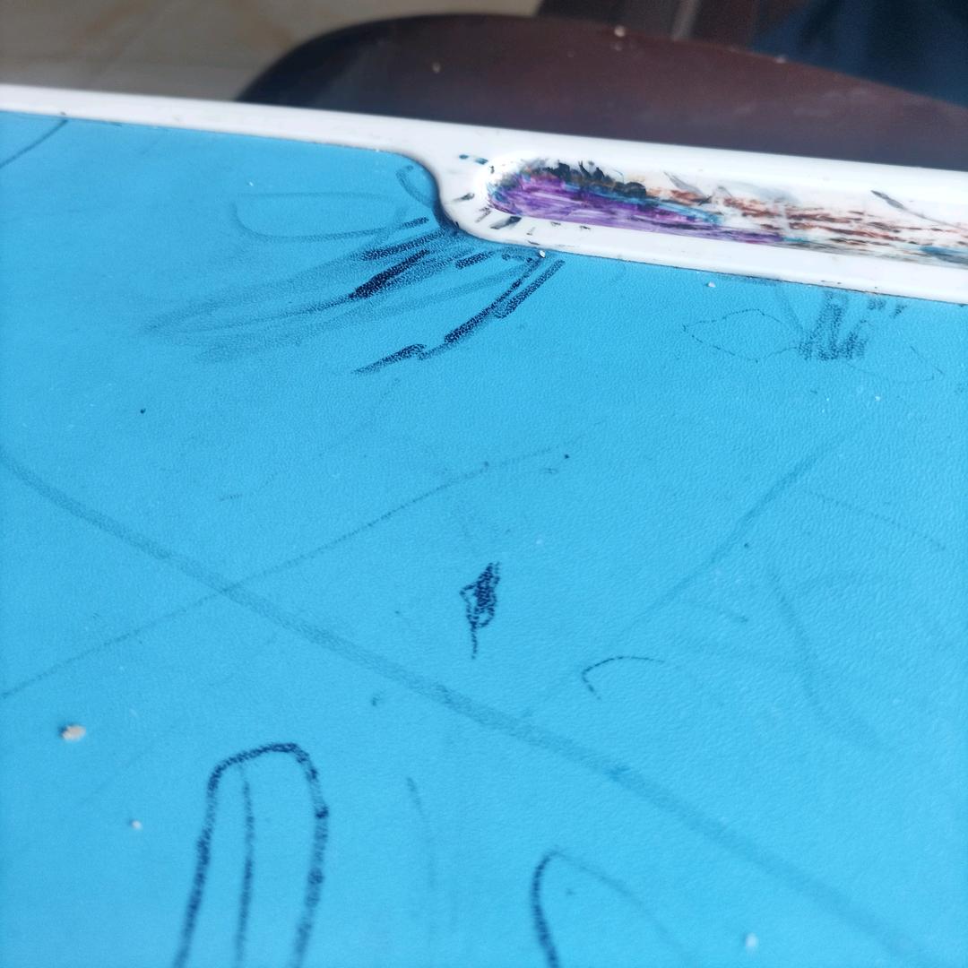 楠楠