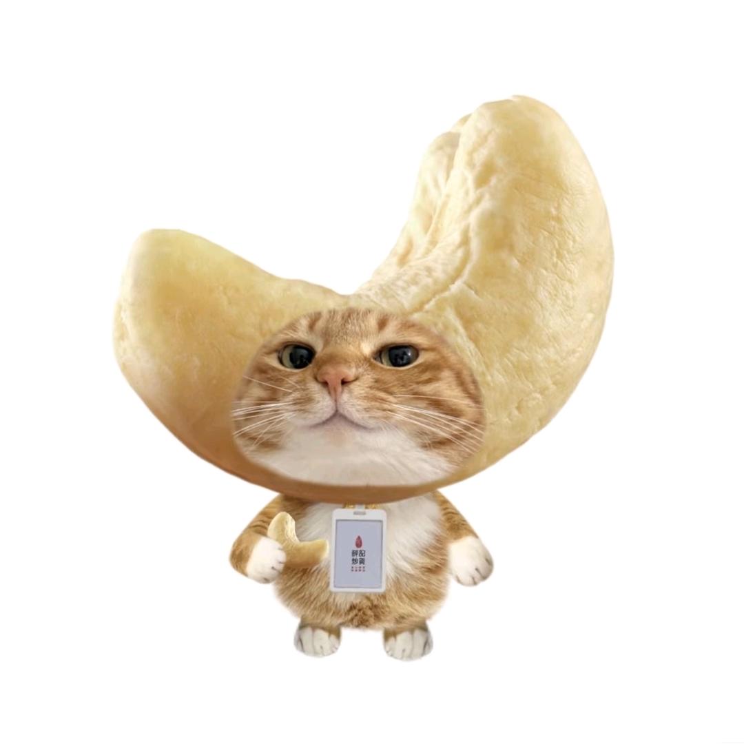 死数学我大四你😡