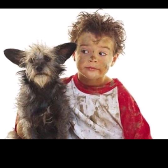 圈⭕️袁袁圈⭕️