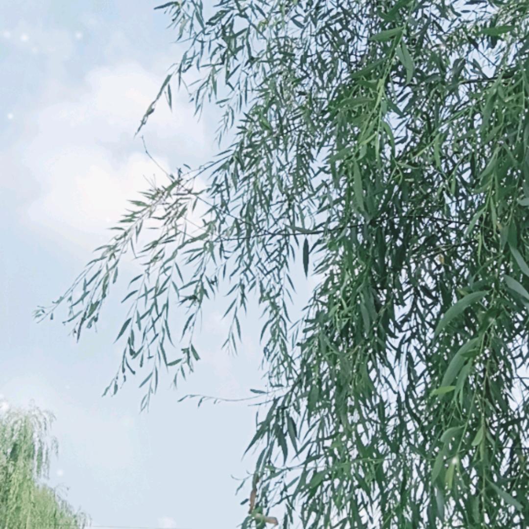 哥是个传说