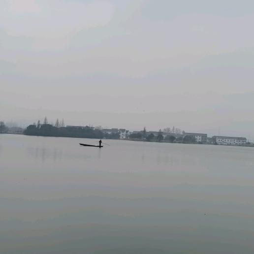 70后老豆腐
