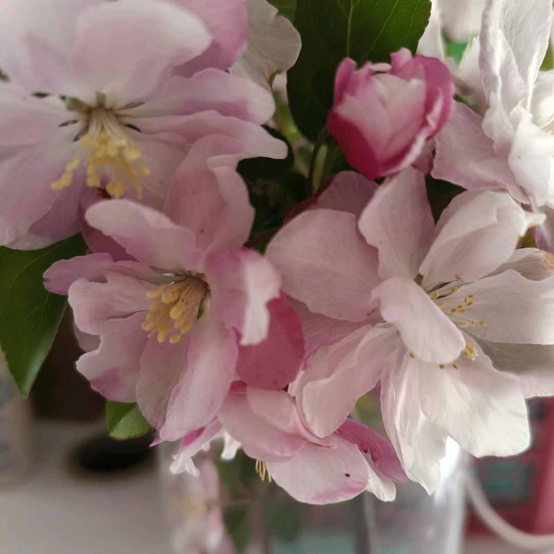 ❤️谈人性❤️懂智慧❤️