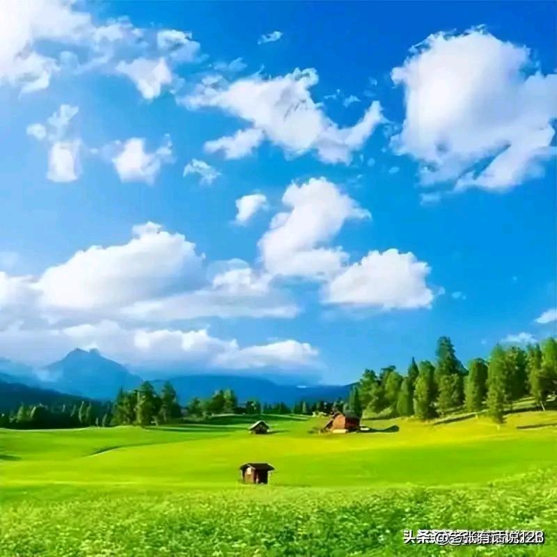 豪阁