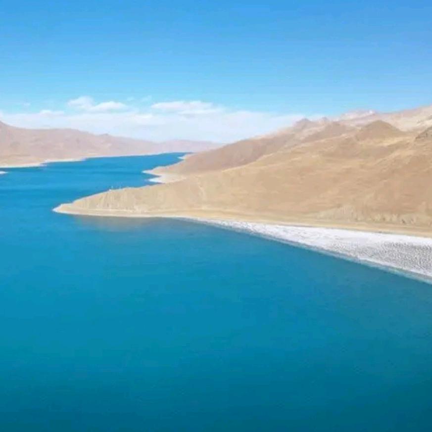 蓻䔗薌䔗莴蘘蓁