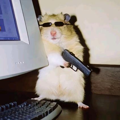 料理鼠王龙傲天（三角洲行动）