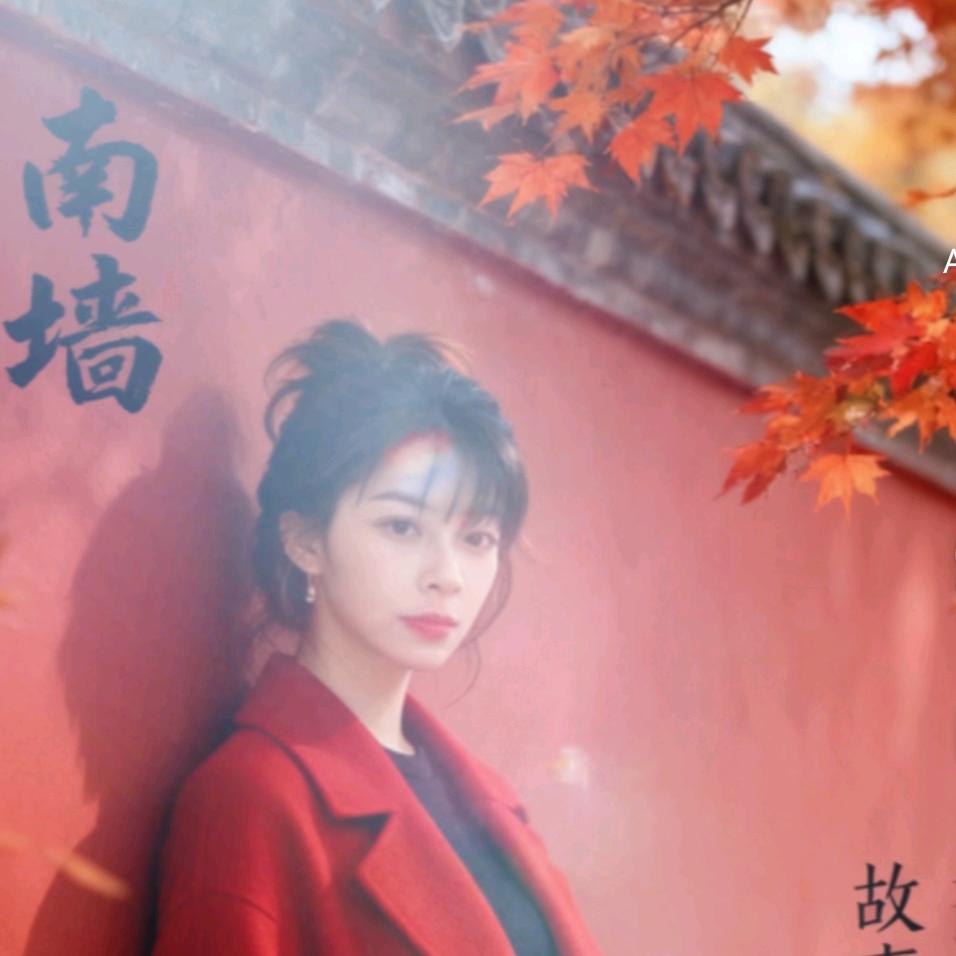 买女孩的小火柴