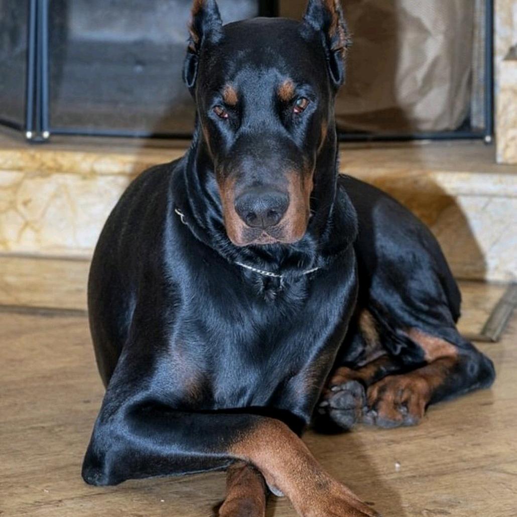 忘记你用余生的时间