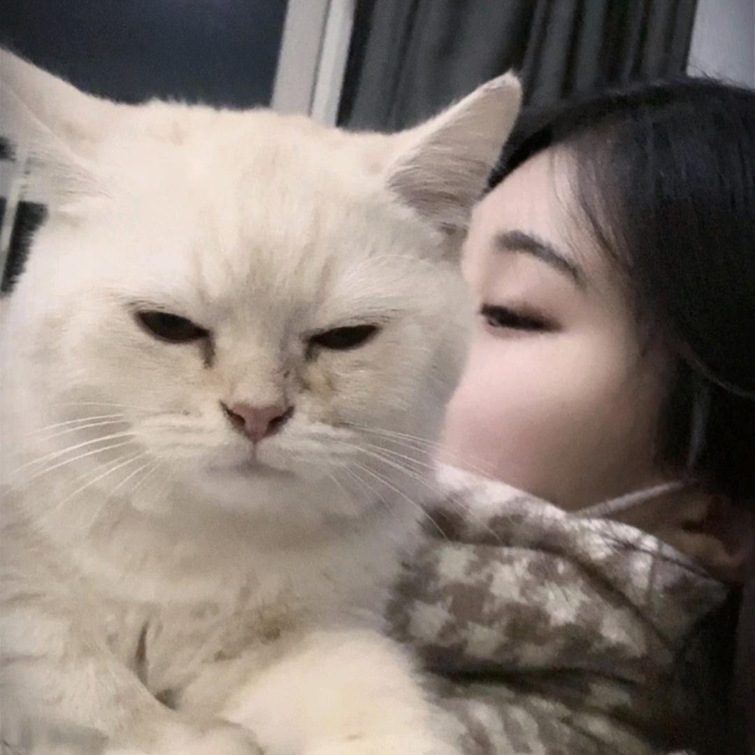 凌晨¹点相遇