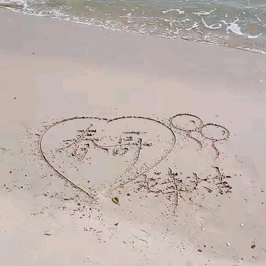 养猪春哥