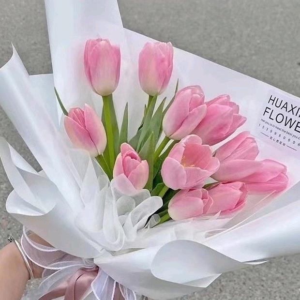 @阳光花艺🌹