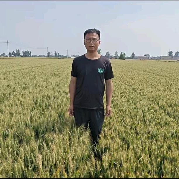 杞县康农农资