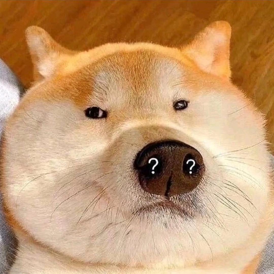 秋裤丢了呀.