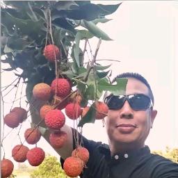 荔枝批发曾叔