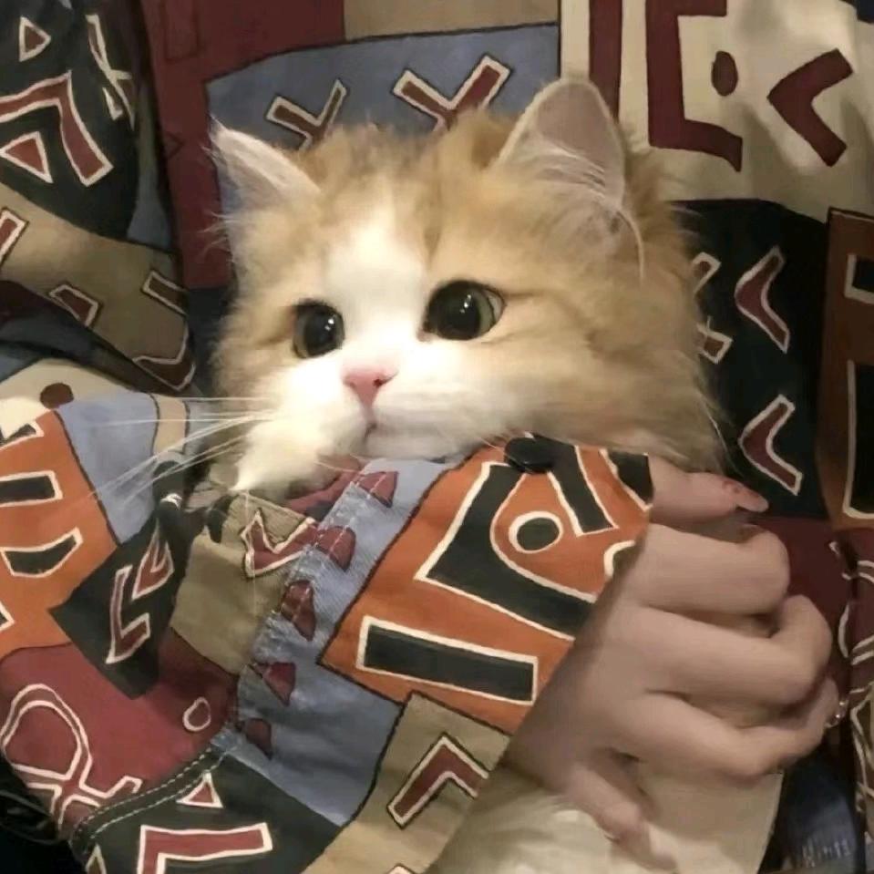 ？—？