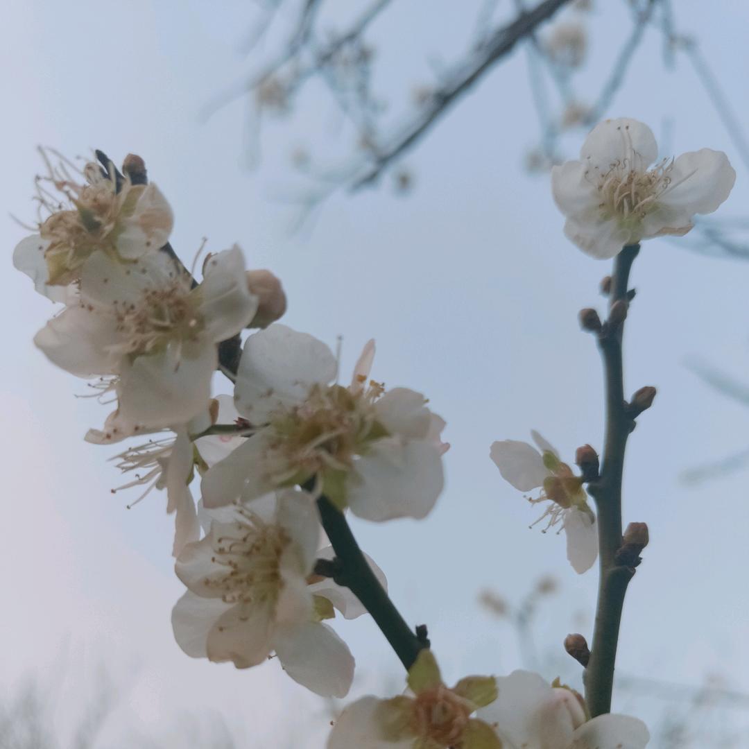 @暖心