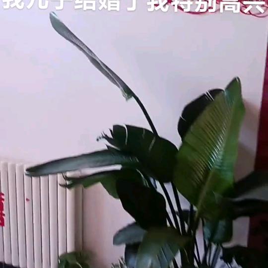 家