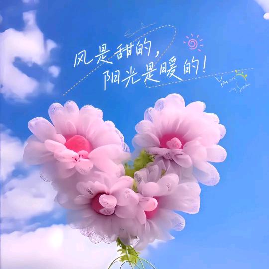 💞ღ᭄ঞ星月踏星光ღ᭄💞