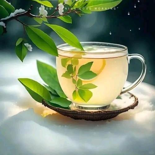 东芳堂篆刻