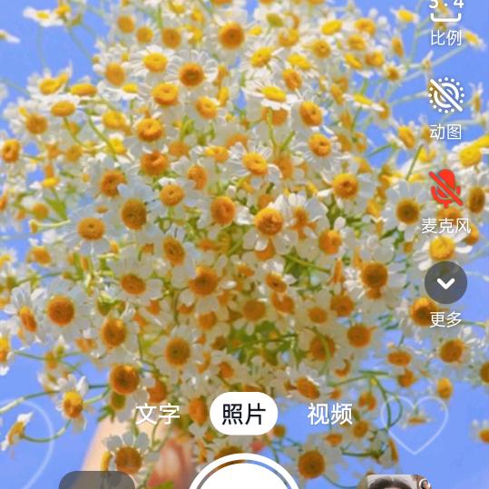 惠珍