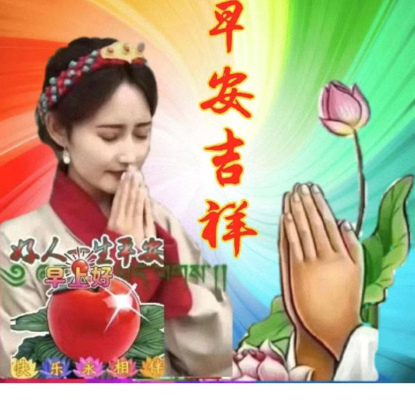 荔文！孝善松
