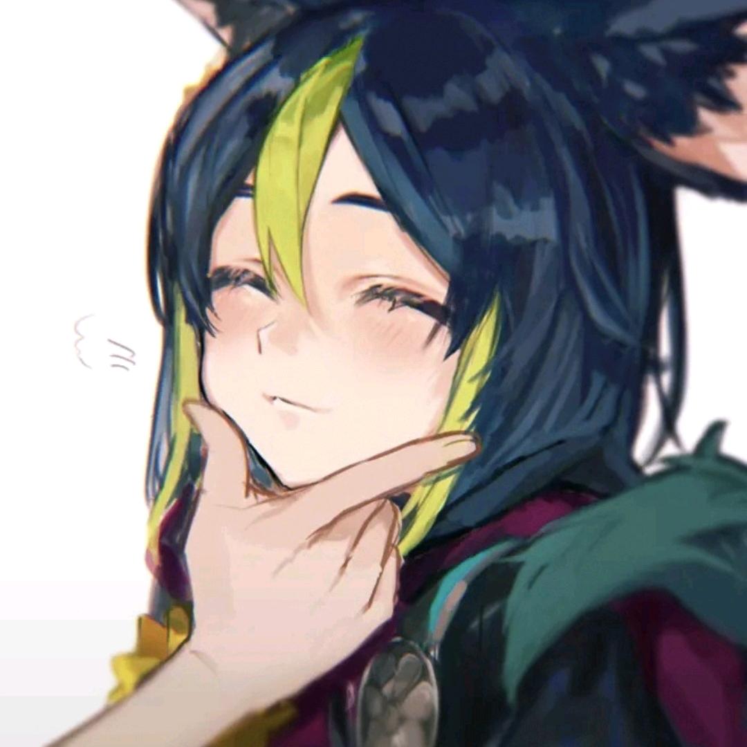 提纳里到底提哪里