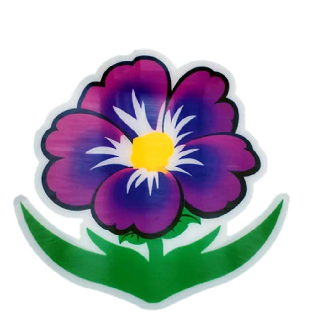 牵牛花-牵牵1