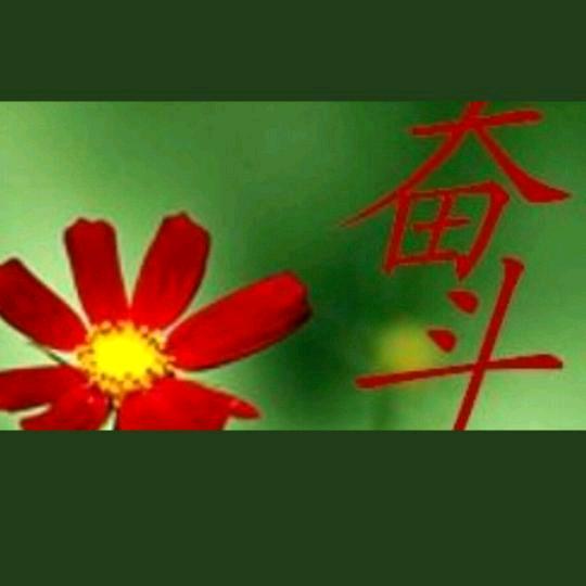 爱在十壹月（巳退）