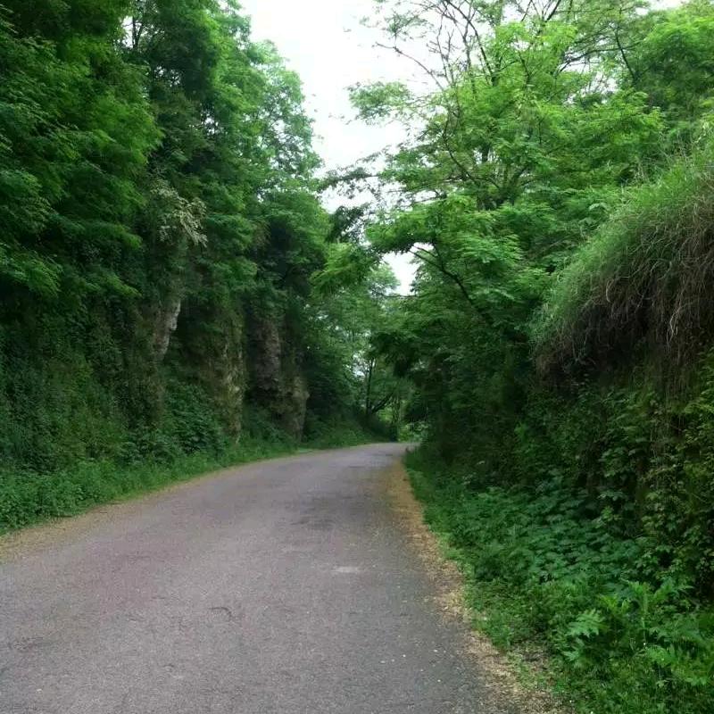 💞꧔ꦿ餘℘生ᝰ有᭄ᩚ꯭ᩚ你💞