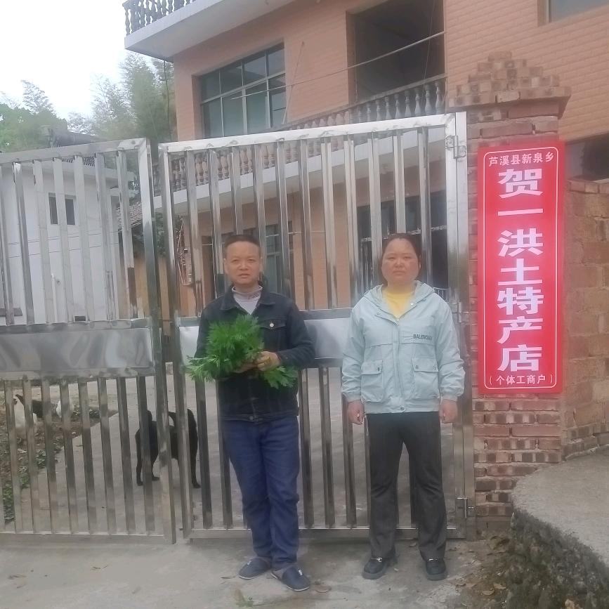 贺一洪土特产优选