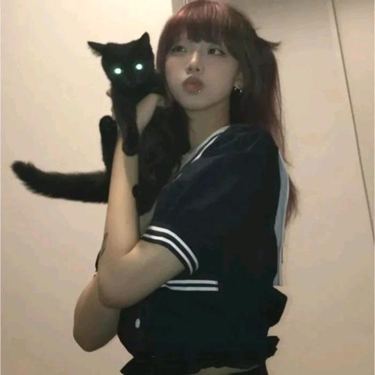 绿叶胡枝子