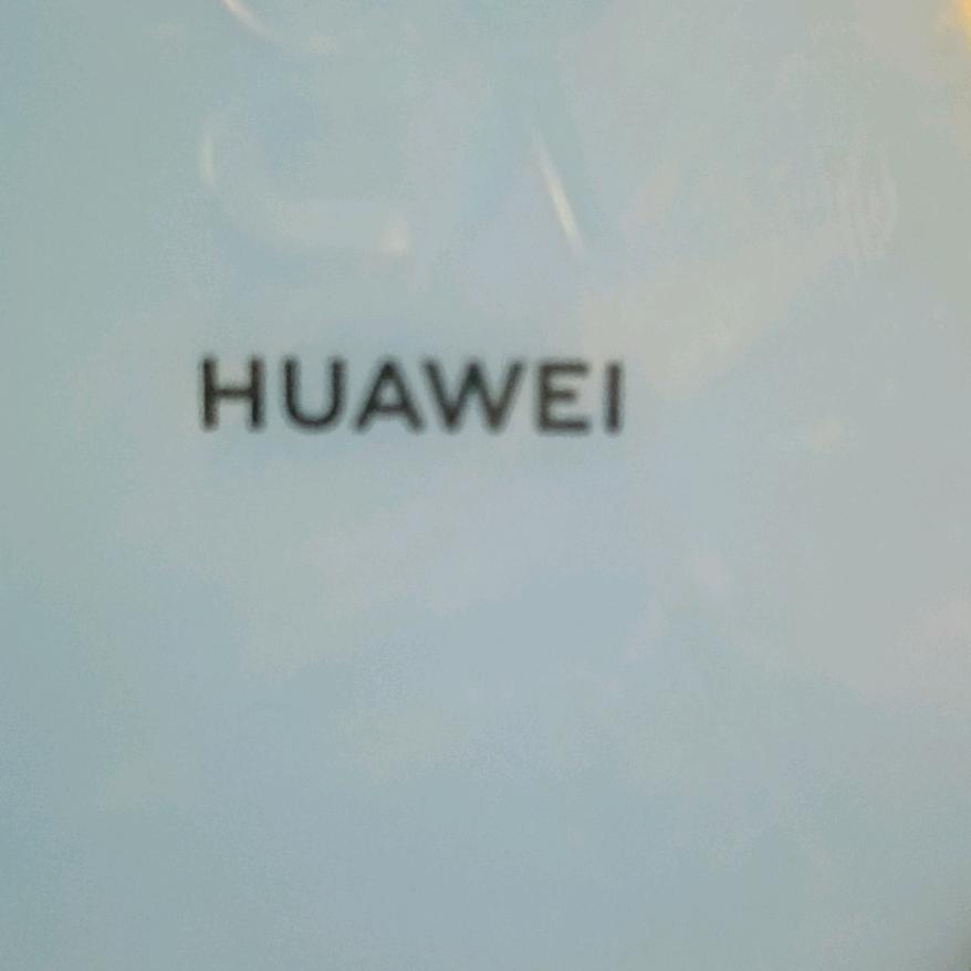 张丽亚