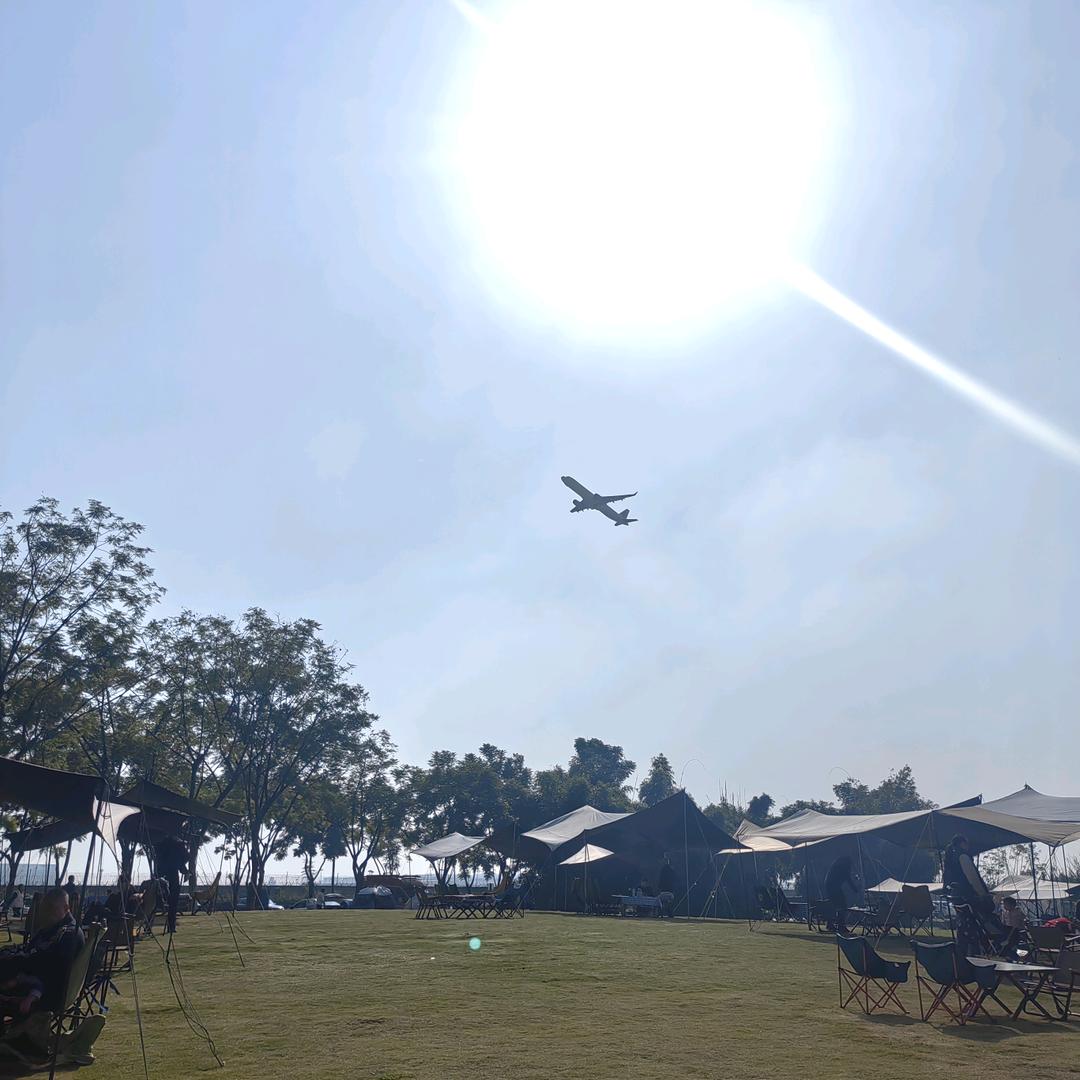 没事就吃溜溜梅