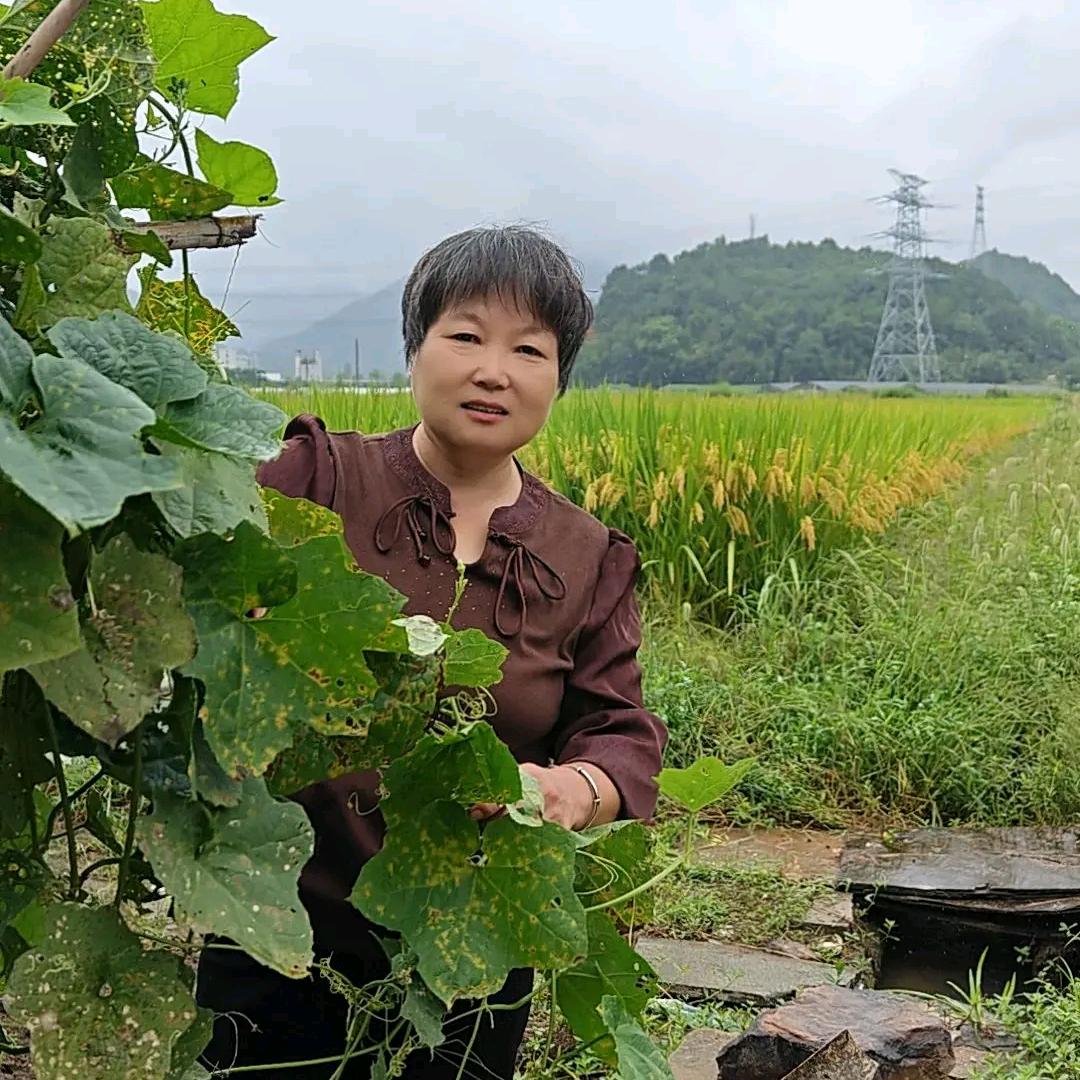 徐林姐