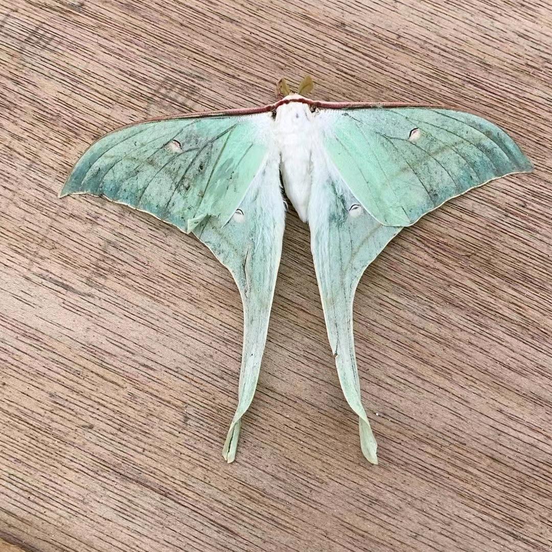 向阳而生的小云姐