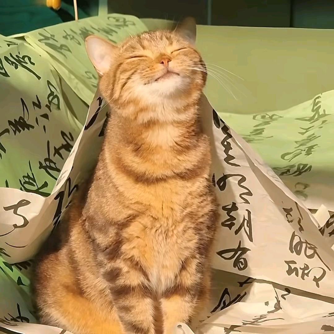 我脸¹点也不圆