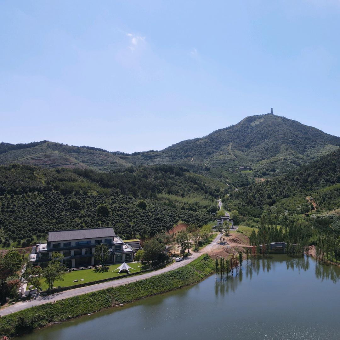 大岗印象（冶父山文旅推介）