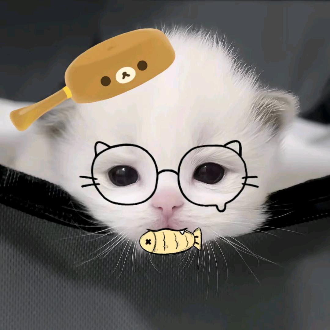 想你想你
