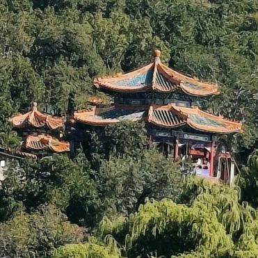 双木林