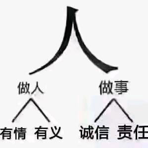 亳州中药 白芍 白芷 白术.