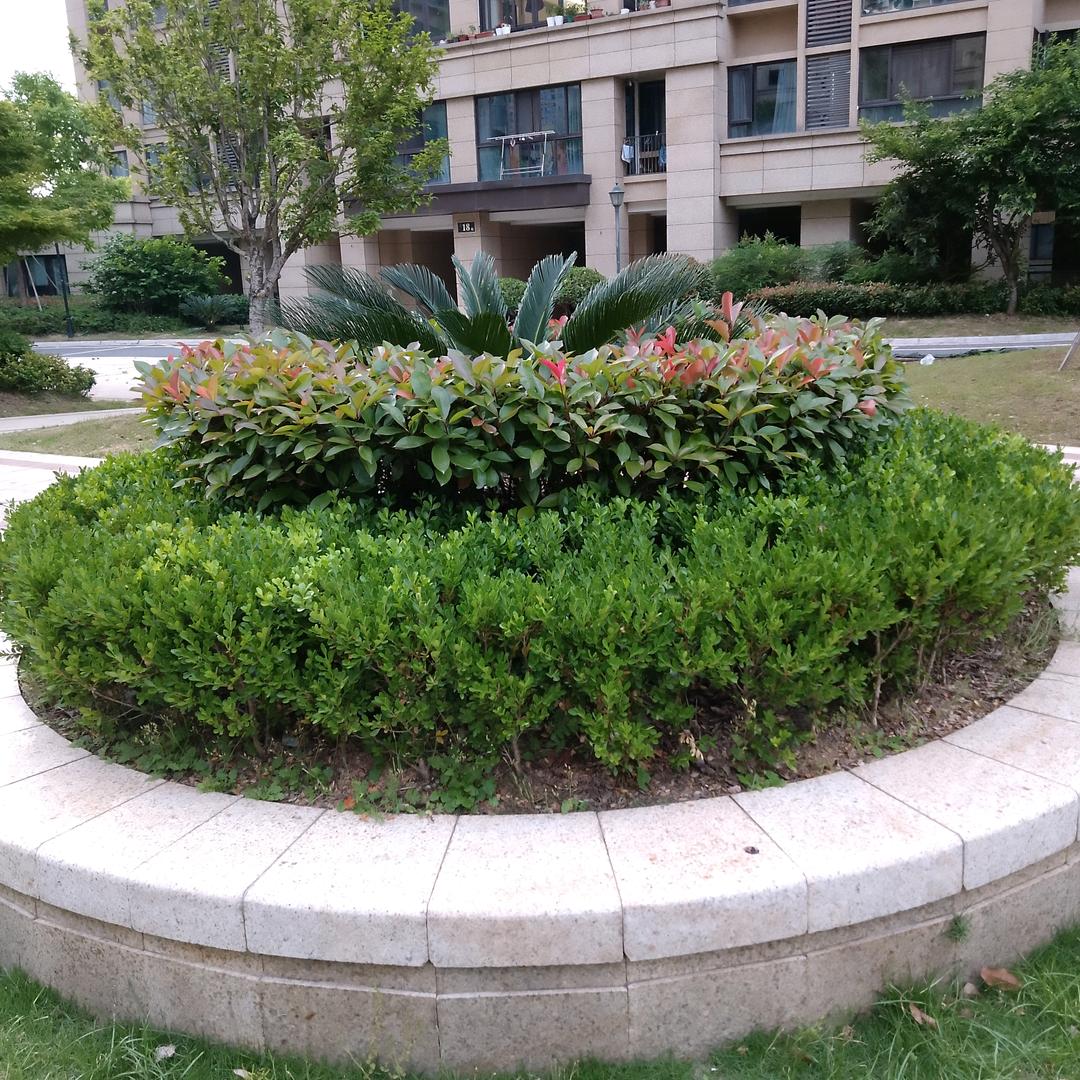 每天有个好心情。