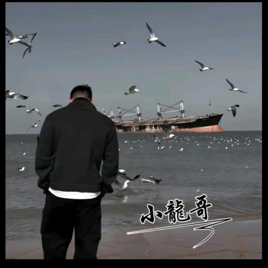 小龙ǒ儭儭シ