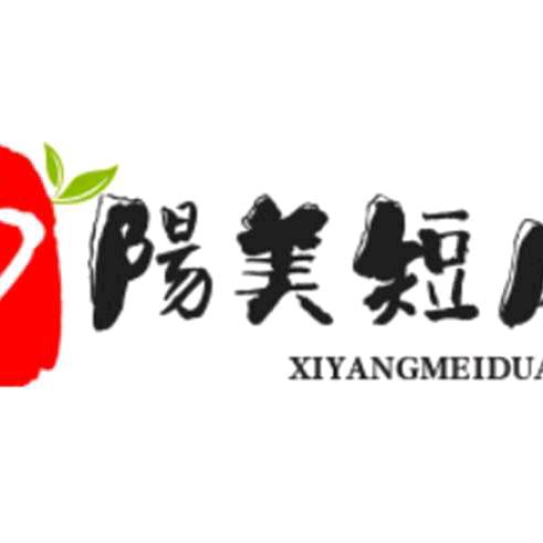 杨阿姨的生活