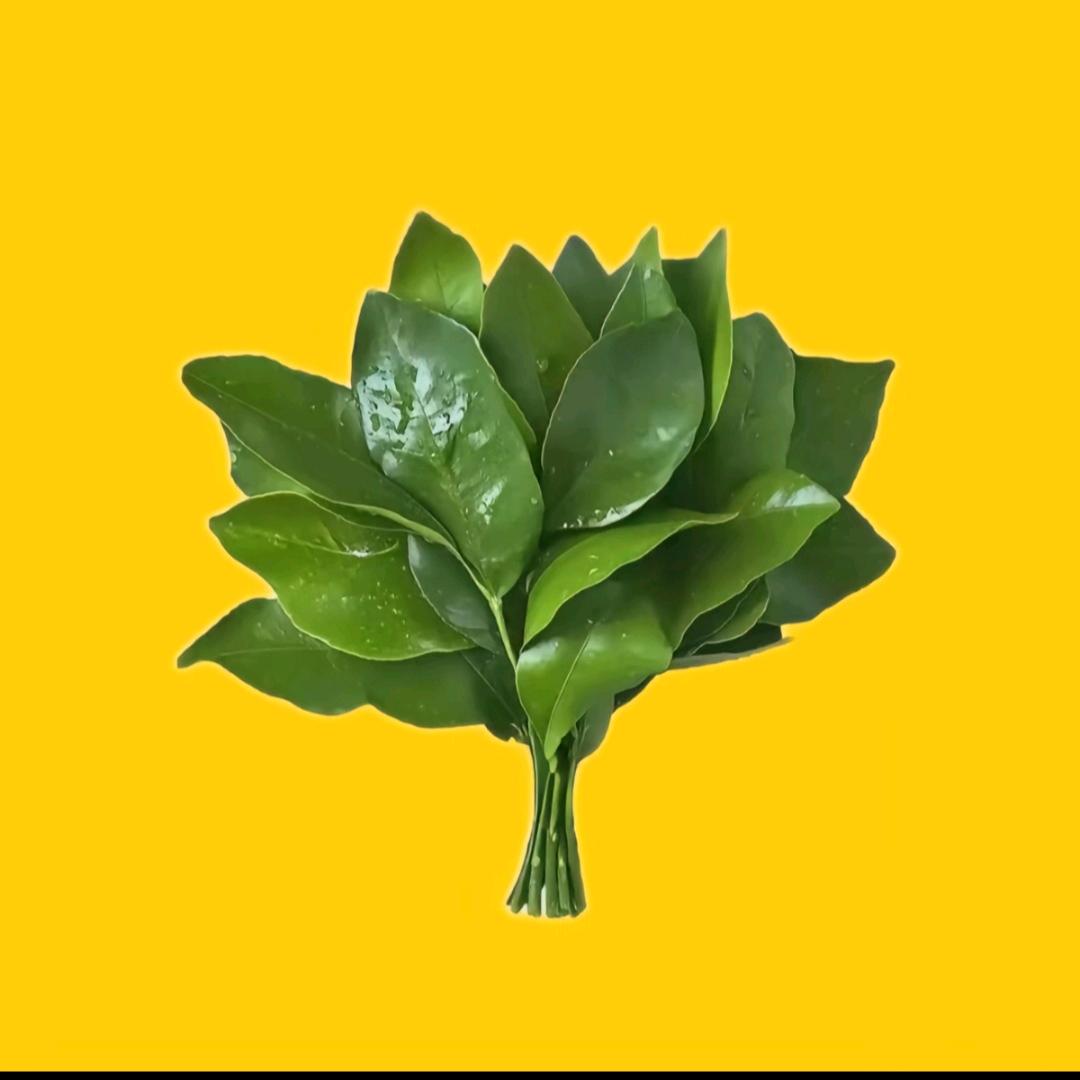 暖茶